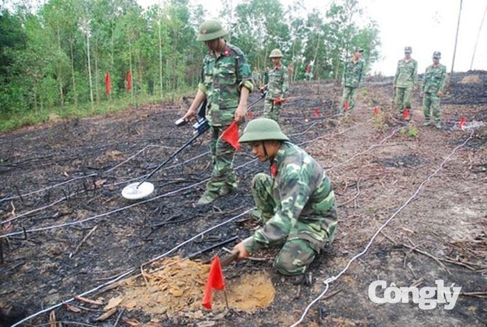 Khánh Hòa đặt mục tiêu làm sạch hơn 160.000ha đất nhiễm bom mìn. Ảnh: VGP