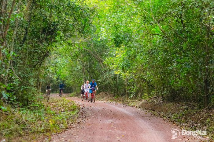 Khu Bảo tồn thiên nhiên - văn hóa Đồng Nai là một trong những điểm đến hấp dẫn du khách trong nước và quốc tế. Ảnh: Ngọc Liên