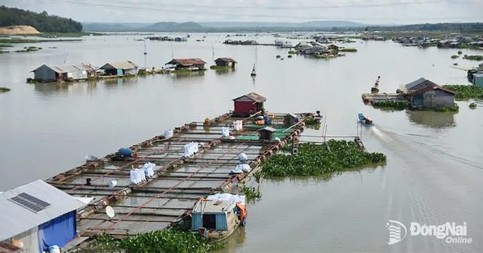 Nguy cơ ngập lụt diện rộng vùng hạ lưu sông Đồng Nai.