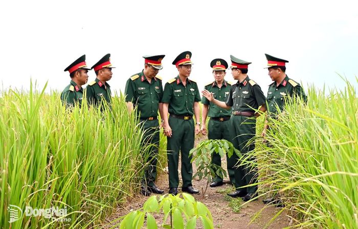 Thiếu tướng Phạm Bá Hiền và đoàn công tác khảo sát thực tế vườn cây cao su và vườn cây tái canh Đoàn Kinh tế quốc phòng 717.