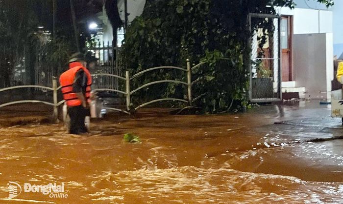 Cán bộ, chiến sĩ và dân quân hỗ trợ người dân trong các hoạt động sinh hoạt. Ảnh: ĐVCC