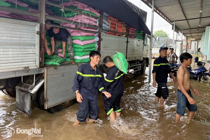 Đội Chữa cháy và cứu nạn, cứu hộ Khu vực 5, Phòng Cảnh sát phòng cháy, chữa cháy, và cứu nạn, cứu hộ hỗ trợ người dân di chuyển gạo tại xã Bình Minh. Ảnh: CTV