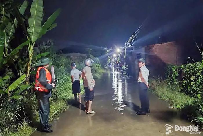 Ngoài giúp dân, Ban Chỉ huy Quân sự xã Bình Minh còn phối hợp cử lực lượng canh gác, tuần tra bảo vệ người dân. Ảnh: ĐVCC