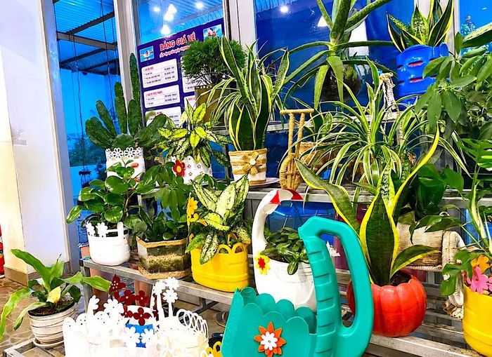  Rác thải nhựa có thể tái chế thành những chiếc chậu cây xinh xắn, tạo không gian xanh mát trong gia đình. Ảnh: M.T 