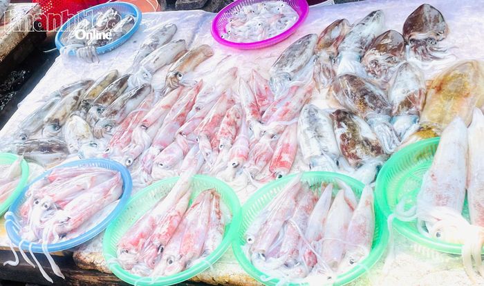 Mực tươi được bày bán tại chợ Nại.