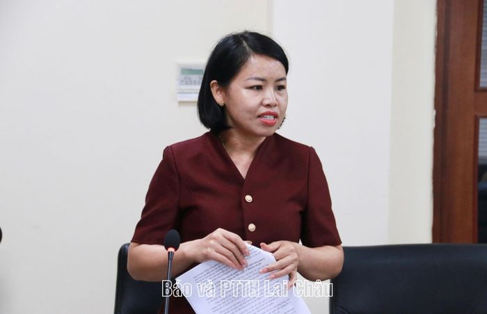 Thành viên đoàn giám sát phát biểu tại buổi giám sát.