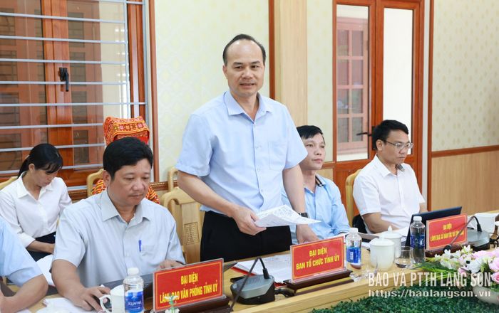Lãnh đạo Ban Tổ chức Tỉnh uỷ phát biểu tại buổi làm việc