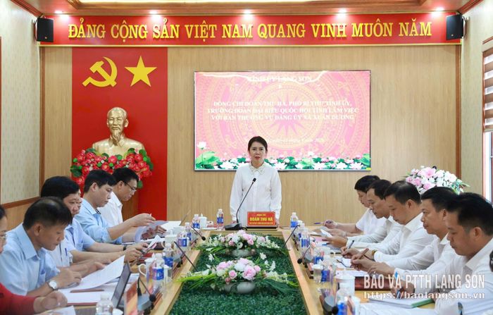 Đồng chí Đoàn Thu Hà, Phó Bí thư Tỉnh uỷ, Trưởng Đoàn đại biểu Quốc hội tỉnh phát biểu kết luận buổi làm việc