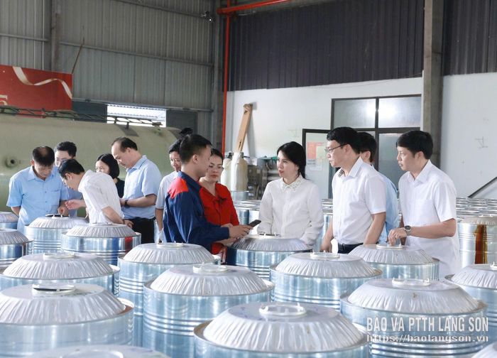 Đoàn công tác khảo sát thăm mô hình sản xuất nhựa thông tại Công ty Cổ phần Nhựa thông Lạng Sơn, thôn Nà Pá