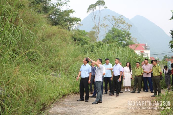 Đoàn kiểm tra nắm bắt tình hình thực tế tại chân núi Nà Lay, xã Bắc Sơn