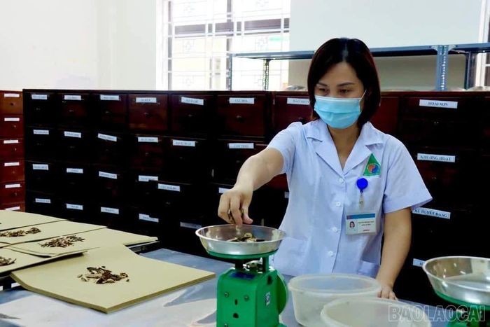 Những bài thuốc hỗ trợ quá trình điều trị.