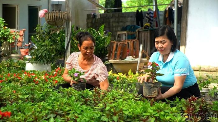 Mô hình trồng hoa, cây của hội viên phụ nữ xã Lục Yên.