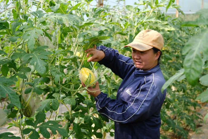 Nông dân Lâm Đồng mạnh dạn đầu tư trong sản xuất nông nghiệp bằng hệ thống nhà kính