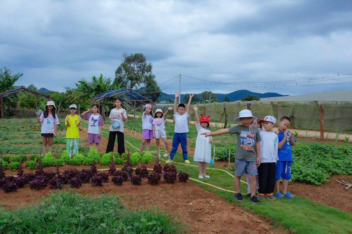 Điểm du lịch cộng đồng Avocado Farm thôn Quảng Lợi, xã Quảng Lập