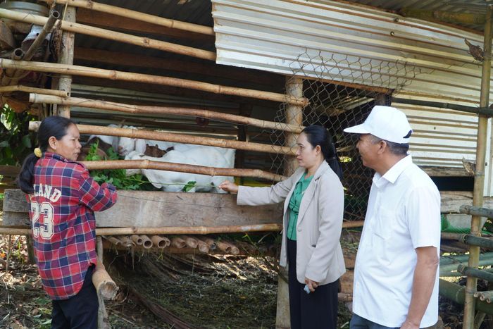 Từ nhiều nguồn lực hỗ trợ của Trung ương, địa phương, nhiều hộ DTTS xã Quảng Khê đã vươn lên thoát nghèo