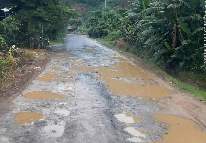 Mặt đường Quốc lộ 27 nham nhở ổ gà, ổ voi vào mùa mưa