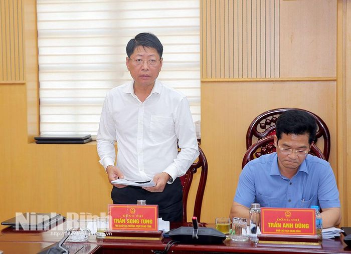 Đồng chí Trần Song Tùng, Ủy viên Ban Thường vụ Tỉnh ủy, Phó Chủ tịch Thường trực UBND tỉnh phát biểu tại hội nghị.