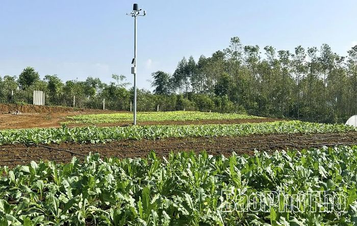 Hệ thống quan trắc khí tượng thông minh tự động đo đạc, thu thập và truyền tải dữ liệu thời tiết theo thời gian thực được đầu tư tại HTX Nông nghiệp dịch vụ - cung ứng thực phẩm Đà Bắc, mang lại hiệu quả cao.
