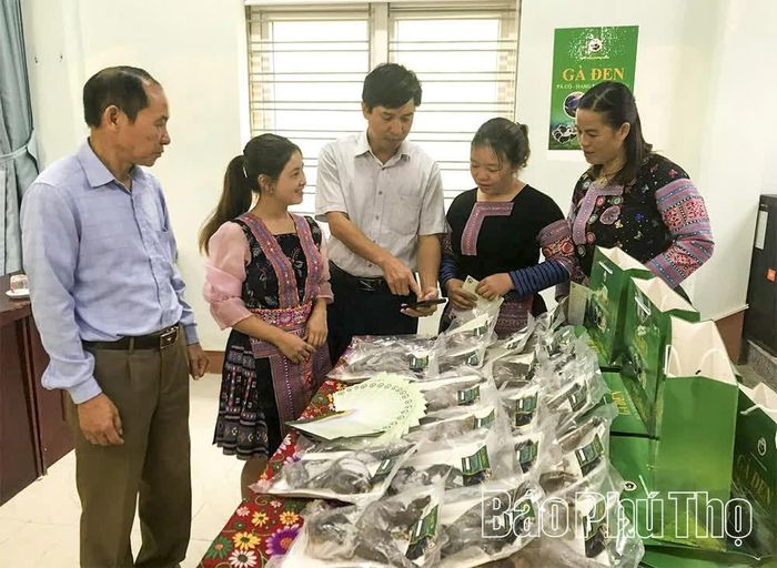 Cán bộ Trung tâm KHCN, đổi mới sáng tạo và chuyển đổi số, Sở Khoa học và Công nghệ hướng dẫn người dân sử dụng các ứng dụng thương mại điện tử trong việc quảng bá, giao dịch sản phẩm gà đen Pà Cò.