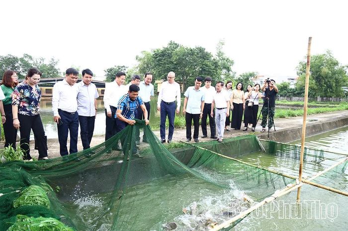 Đồng chí Bí Thư Tỉnh ủy Phạm Đại Dương và các đại biểu tham quan mô hình nuôi cá chép Hunggari tại Trại Sản xuất giống thủy sản Vĩnh Phúc, Trung tâm Phát triển nông, lâm nghiệp và thủy sản tỉnh Phú Thọ.