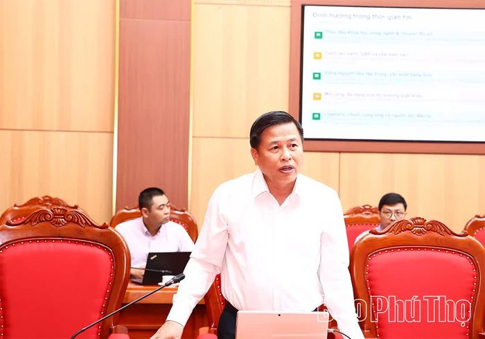 Đồng chí Phó Chủ tịch UBND tỉnh Đinh Công Sứ phát biểu tại hội nghị. 
