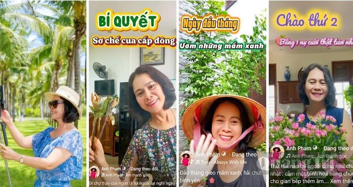 Nguồn năng lượng tích cực lan tỏa từ kênh facebook của bà Phạm Thị Nhung Anh - Ảnh: NVCC