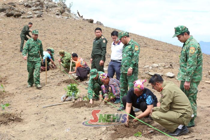 Cán bộ Đồn Biên phòng Chiềng Tương hướng dẫn nhân dân bản Móng Nặm, xã Móng Nặm, huyện Xiềng Khọ, tỉnh Hủa Phăn (nước CHDCND Lào) trồng cây cà phê.