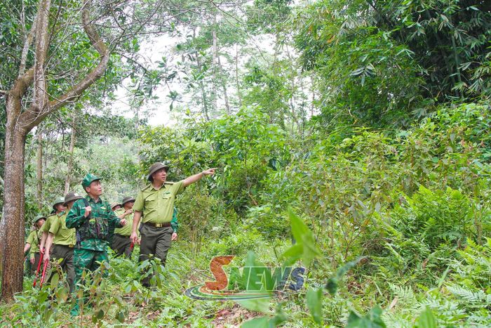 Cán bộ Hạt kiểm lâm khu vực XVI – Ban Quản lý rừng đặc dụng Xuân Nha cùng các lực lượng tuần tra rừng.