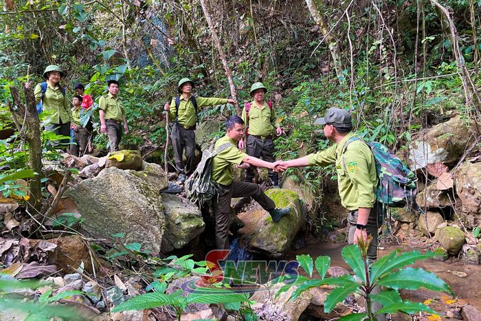 Cán bộ Ban Quản lý rừng đặc dụng phòng hộ Sốp Cộp tuần tra rừng.
