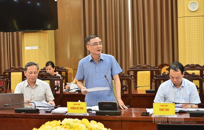 Lãnh đạo Thống kê tỉnh phát biểu ý kiến.