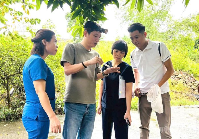 Cán bộ y tế giám sát véc tơ truyền bệnh Sốt xuất huyết tại phường An Tường.
