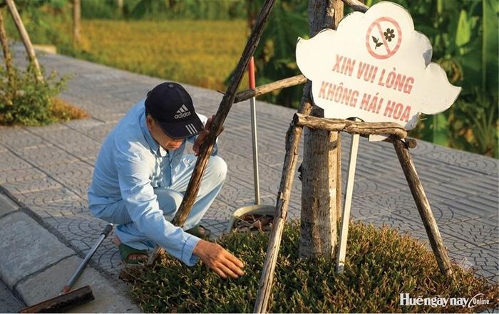 Ông Nguyễn Văn Hiếu tự mua giống, trồng hoa để tuyến đường thêm xanh, sạch.