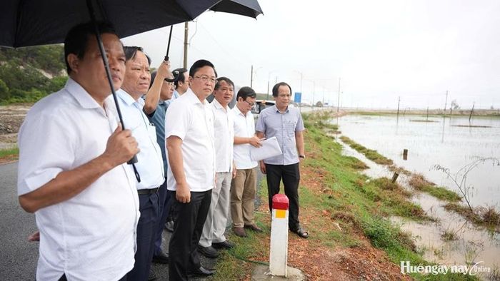  Lãnh đạo thành phố khảo sát thực địa về việc điều chỉnh hướng tuyến đường ven biển.