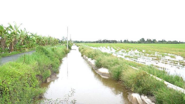 Mặt bằng đã được bàn giao cho nhà thầu.