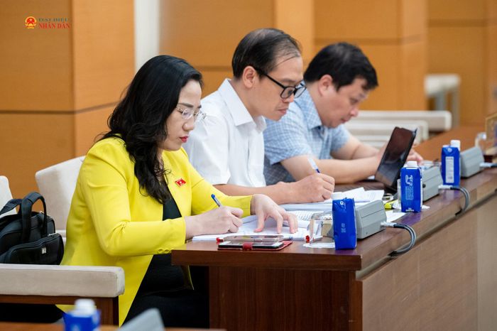 Các đại biểu tham dự phiên họp