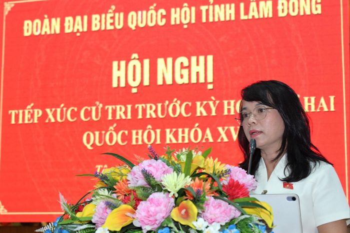 Phó Chủ nhiệm Ủy ban Pháp luật và Tư pháp của Quốc hội Phạm Thị Hồng Yến phát biểu tại hội nghị. Ảnh: Minh Vân