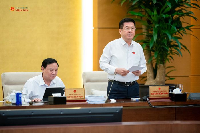 Phó Chủ tịch Quốc hội Nguyễn Hồng Diên phát biểu