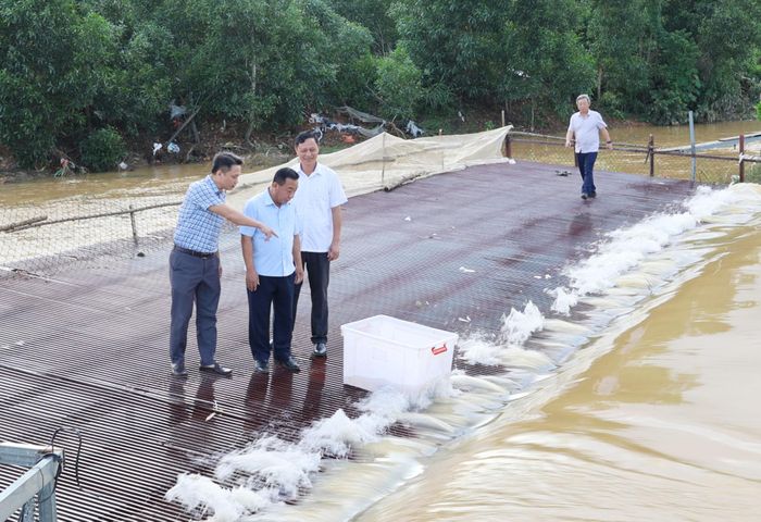 Phó Chủ tịch UBND tỉnh Nguyễn Văn Đệ kiểm tra công tác ứng phó, khắc phục ảnh hưởng do mưa lớn. Ảnh: Kim Oanh