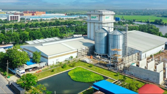 CTCP Nông nghiệp BAF Việt Nam chuẩn bị phát hành 8 triệu cổ phiếu ESOP. Ảnh minh họa: BAF