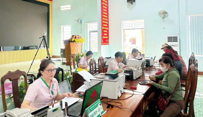 Nhờ đồng vốn đến đúng lúc và được sử dụng đúng mục đích, cây trồng phát triển ổn định, cuộc sống gia đình của các hộ vay vốn từ chương trình tín dụng chính sách từng bước được cải thiện (Ảnh: PV).