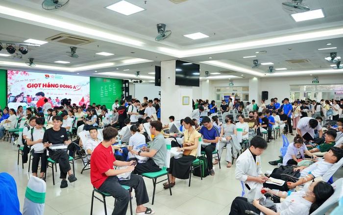 Hàng trăm sinh viên Đại học Đông Á tham gia hiến máu.
