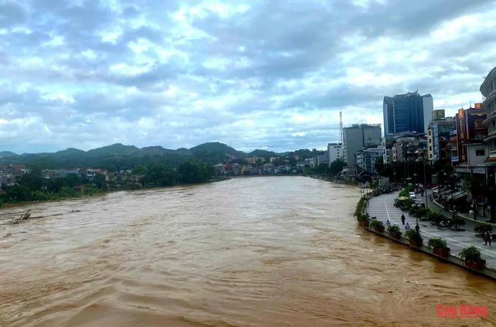 Các cơ quan, đơn vị, địa phương chủ động cập nhật thông tin cảnh báo thiên tai, kịp thời triển khai các biện pháp ứng phó phù hợp.