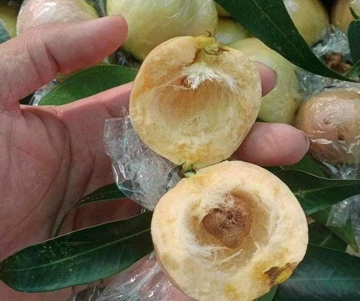 Trái lý từng được xem như một thứ quà quê bình dị - Ảnh minh hoạ
