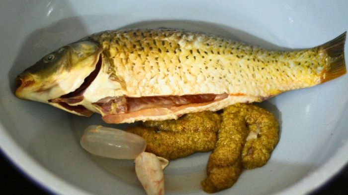 Từ cá chép hấp, kho, om dưa cho tới cháo cá chép, đây đều là những món ăn xuất hiện thường xuyên trong bữa cơm gia đình