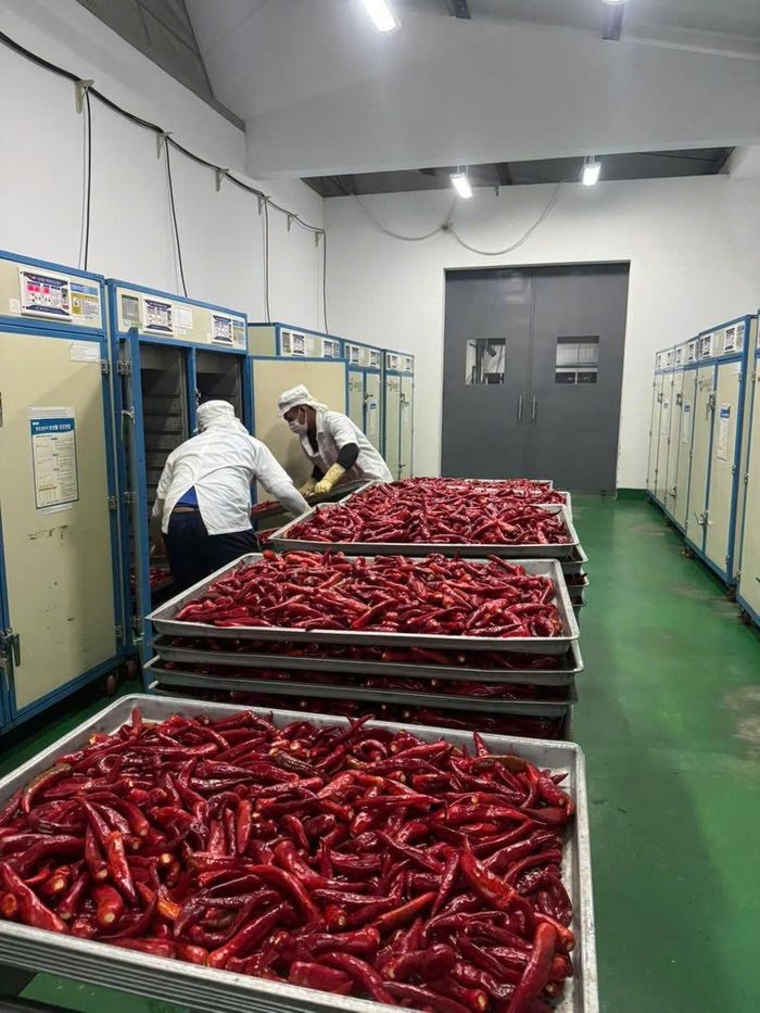 Hợp tác xã Tầm Ngân (Ninh Thuận) nâng cao năng lực sản xuất, hoàn thiện cơ sở vật chất .