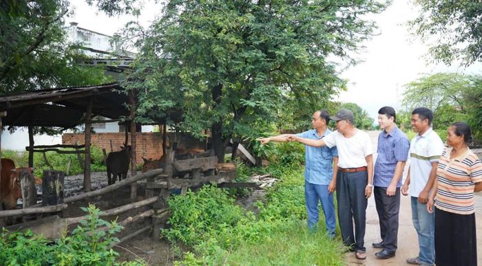 Kiểm tra mô hình hỗ trợ chăn nuôi.