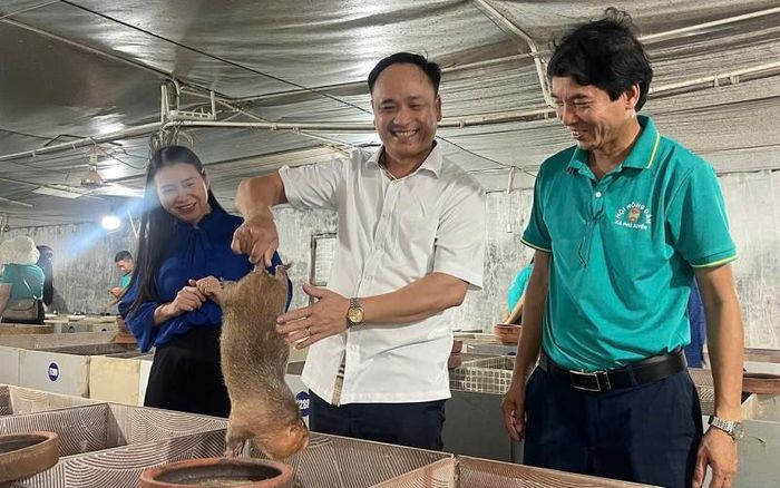 Ngày 26-8- 2026, đoàn công tác của lãnh đạo xã Phú Xuyên và Hội Nông dân cùng các tổ chức đoàn thể đã đến kiểm tra, tham quan thực tế tại mô hình chăn nuôi dúi của gia đình anh Phan Đức Chính. Qua kiểm tra, các thành viên trong đoàn công tác đều đánh giá đây là mô hình phát triển kinh tế mới, hiệu quả. Ảnh: PV