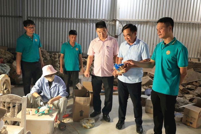 Ngân hàng Chính sách Xã hội Thường Tín giám sát, kiểm tra việc người lao động sử dụng nguồn vốn vay để phát triển sản xuất trên địa bàn. Ảnh: PV