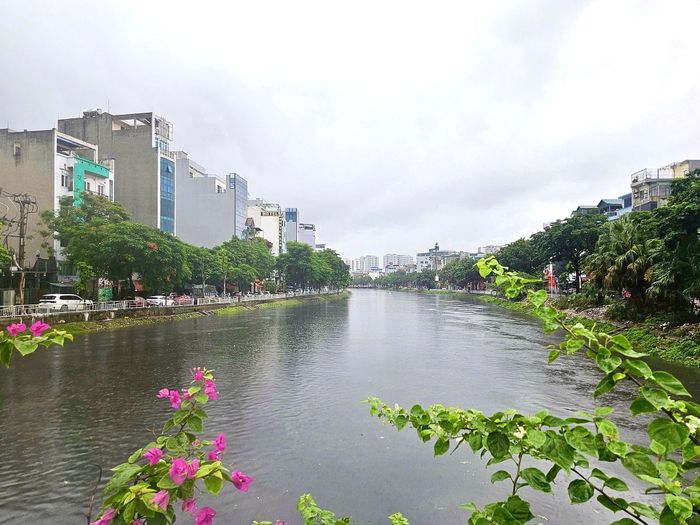 Một góc sông Tô Lịch. Ảnh: Quốc Bảo