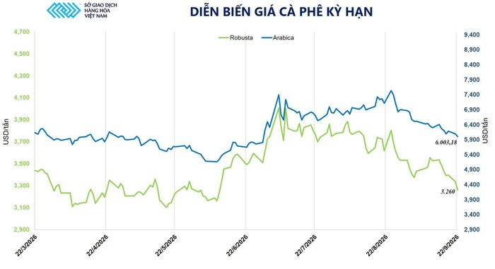Diễn biến giá cà phê kỳ hạn. Nguồn: MXV